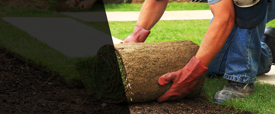 Algona Landscapers